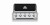BK_Built-Regal_520_przodem_polgrill_21.jpg