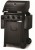 polgrill-grill-gazowy-napoleon-legend-365PL-1.jpg