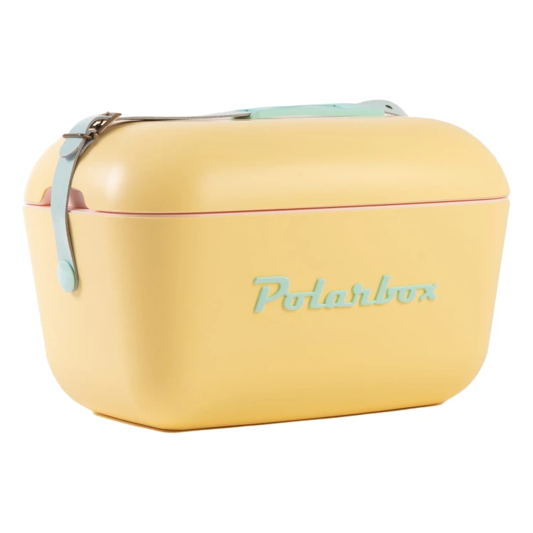 cool-box-with-coloured-handle.jpg