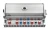 polgrill_bipro665rb_napoleon_front12_polgrill.webp