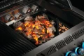polgrill-67732-napoleon-Charcoal-Tray-BIG-Grill-Head_polgrill.webp