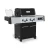 regal-q-490-gas-grill-684283-zamkniety-bokiem-broilking_pl.webp