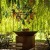 CORTEN 120PRO.jpg