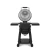polgrill-Keg-Kamado-Charcoal-420150-p2-dobregrille.webp
