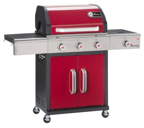 12941_triton_3,1_polgrill1.jpg